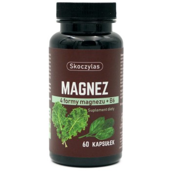 MAGNEZ 4 formy magnezu + B6 60 kapsułek Skoczylas